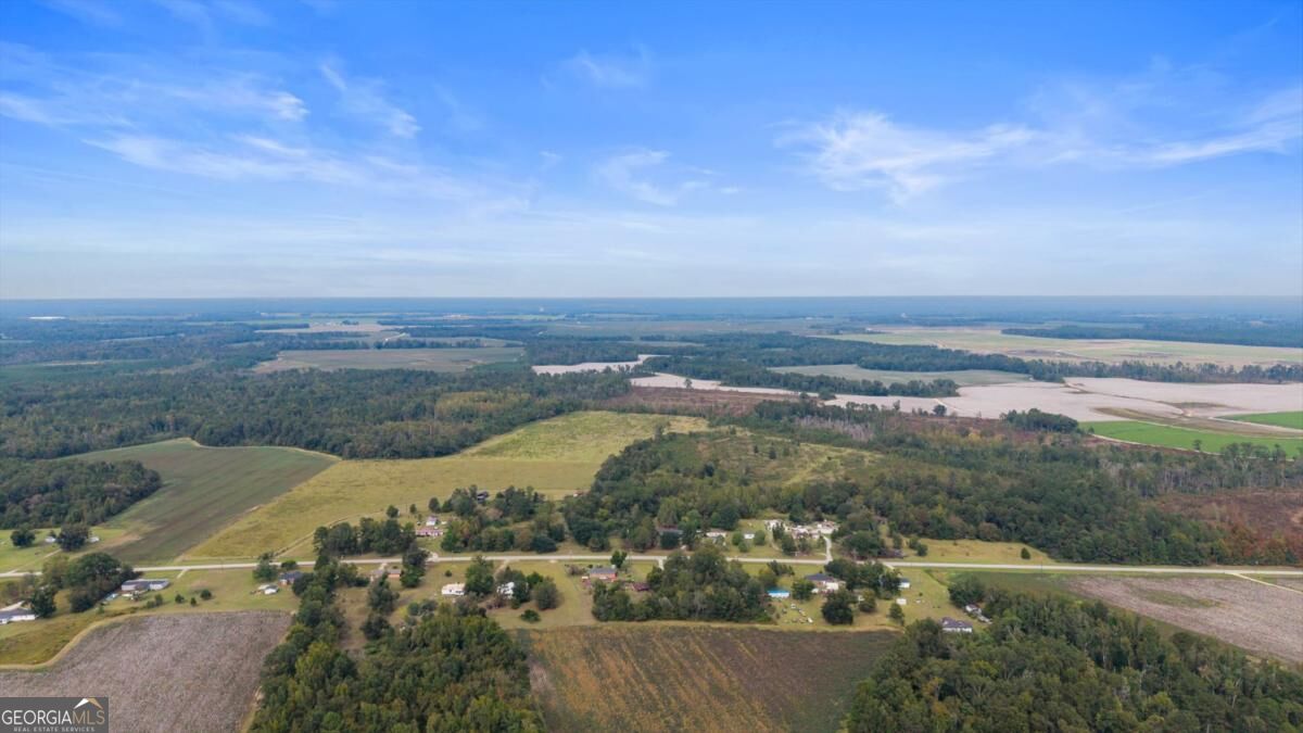 1031 Scotts Store Road, Millen, GA 30442 — photo 3