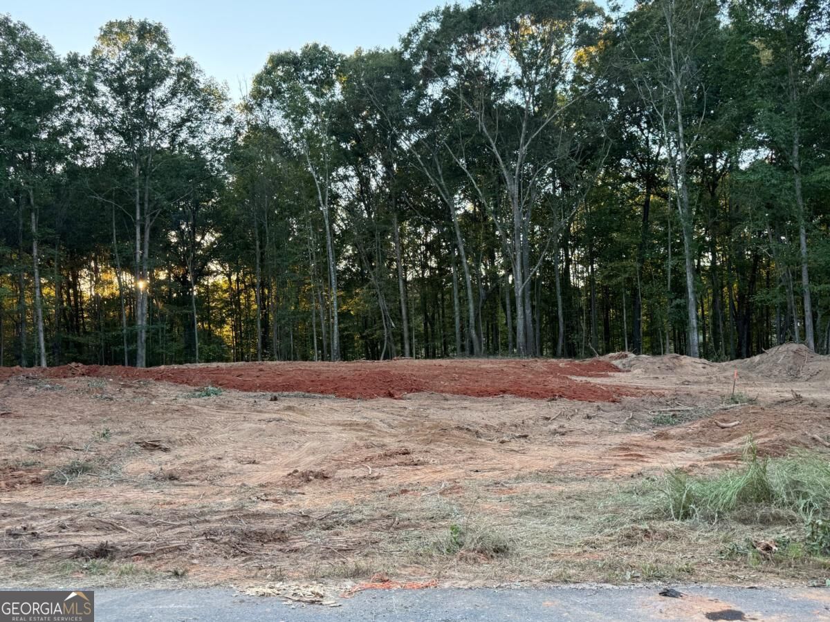 37 Springtime Way, Monroe, GA 30655 — photo 3