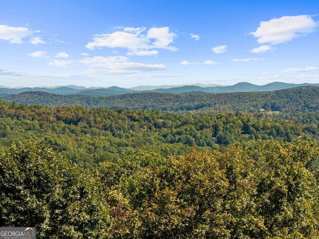 929 Overlook Road, Blue Ridge, GA 30513 — photo 3