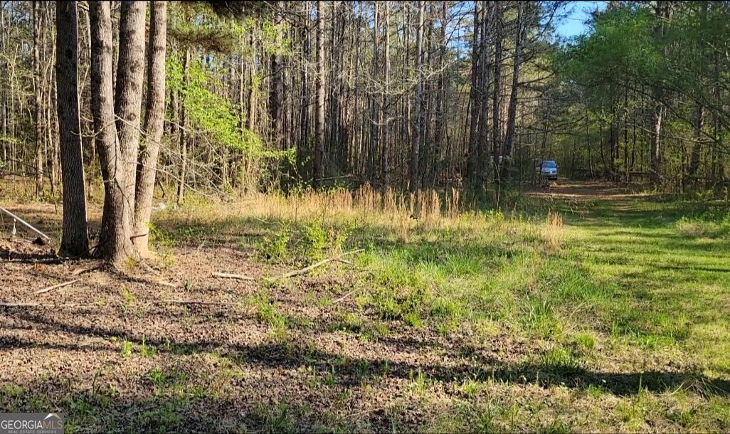 0 Pierce Dairy Road, Madison, GA 30650