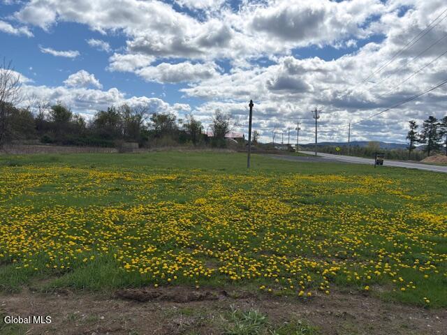 1168 Nys Route 29 — photo
