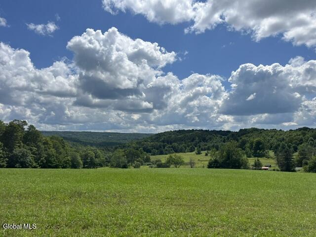 359 Baldwin Road, Summit, NY 12175 — photo 2