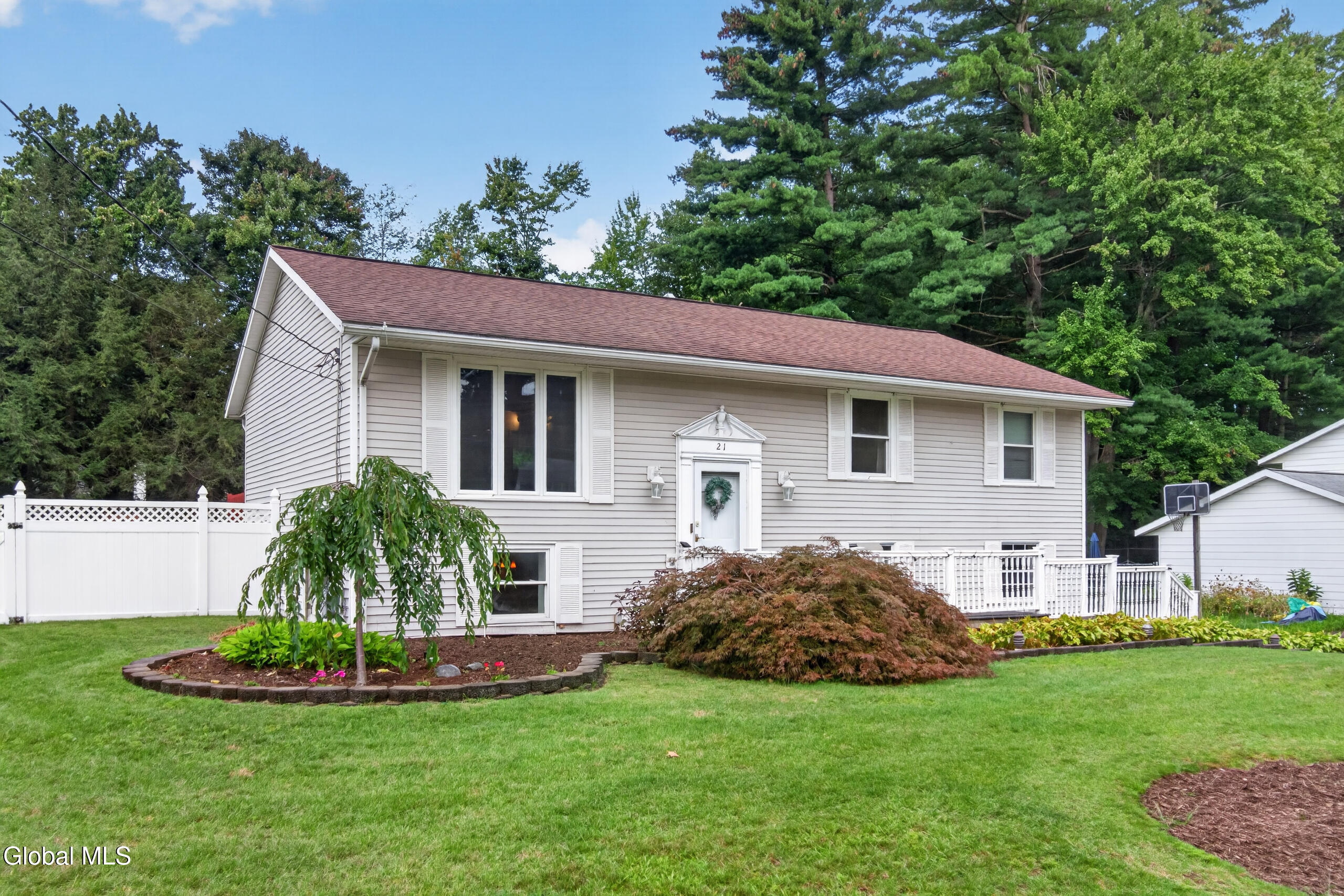 21 Evergreen — photo