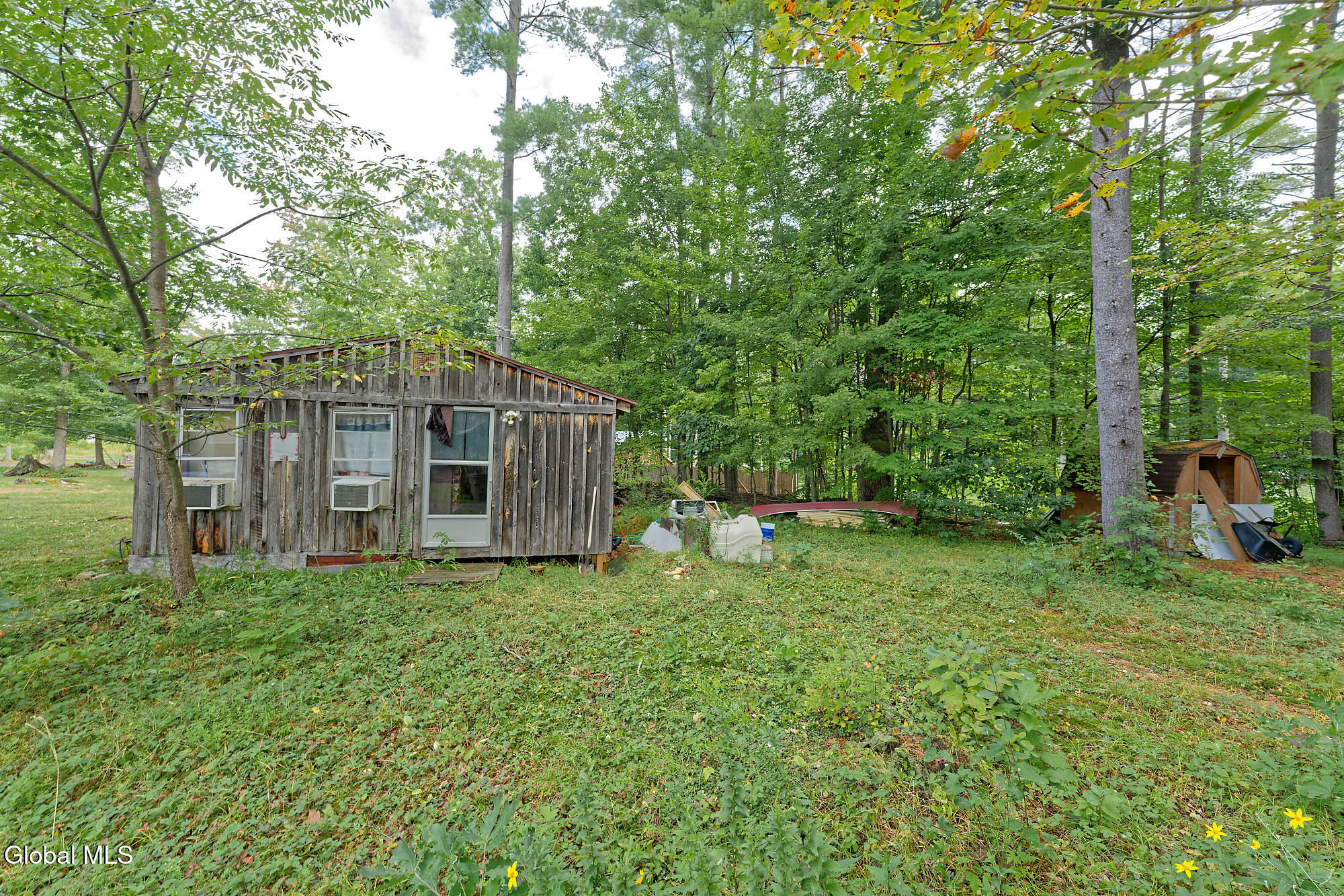 331 Battenkill Evergreens — photo