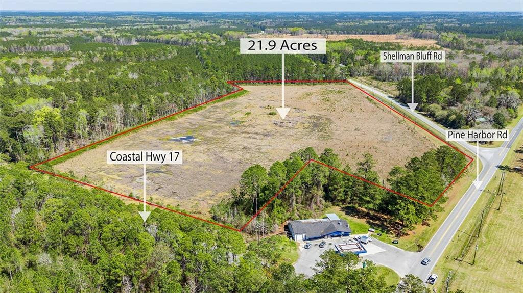 21.90 Acres Shellman Bluff Road — photo