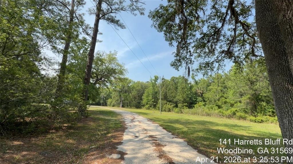 141 Harrietts Bluff Road — photo