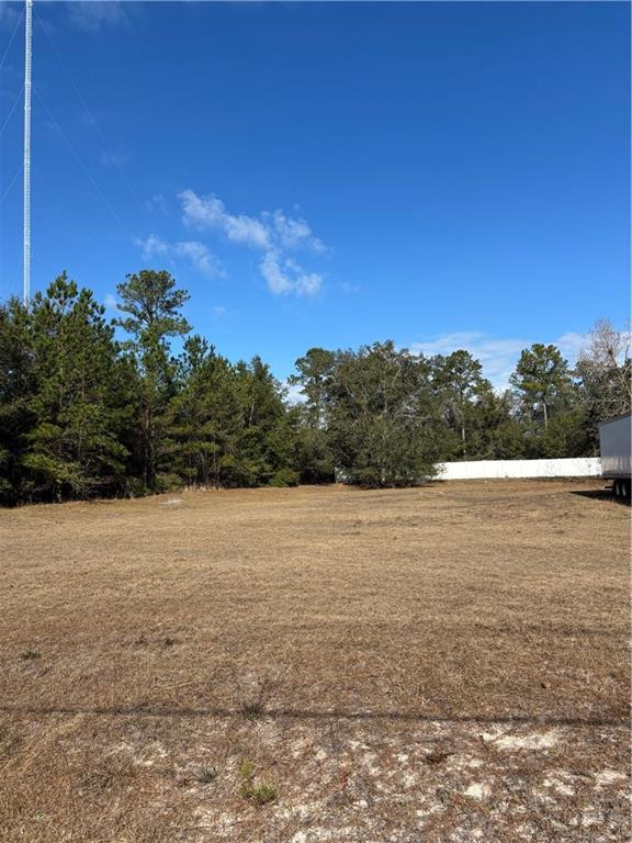 Parcel 1 Shellman Bluff Road NE — photo