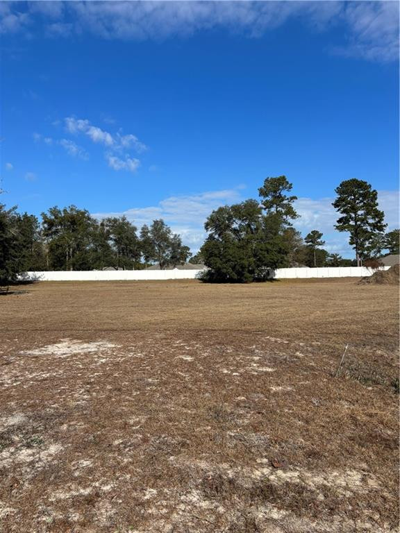 Parcel 2 Shellman Bluff Road NE — photo
