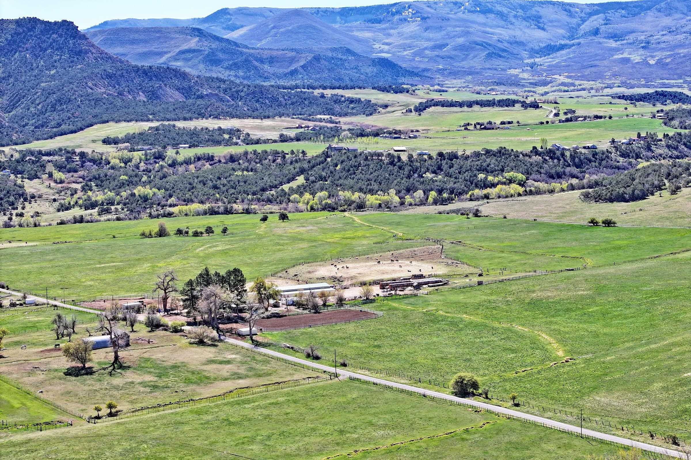 Home in Collbran, CO 81624 — photo 3