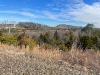 ____ Winfield Dunn Pkwy Mount Rd Parkway — photo