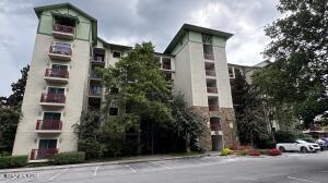 212 Dollywood Ln U-420 — photo