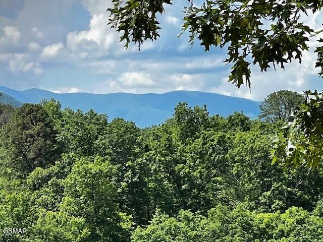 430 Sugar Maple Loop, Sevierville, TN 37862 — photo 2