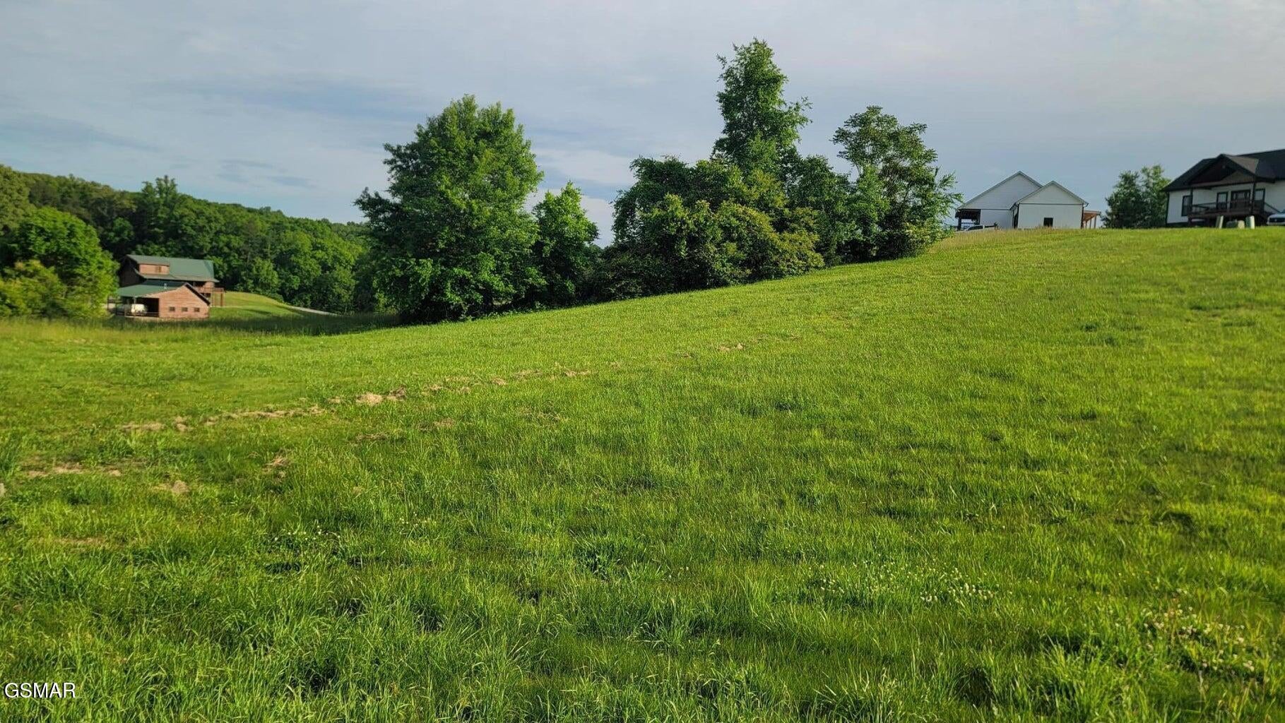 Lot 41 Shiloh Springs Road, Rutledge, TN 37861 — photo 2