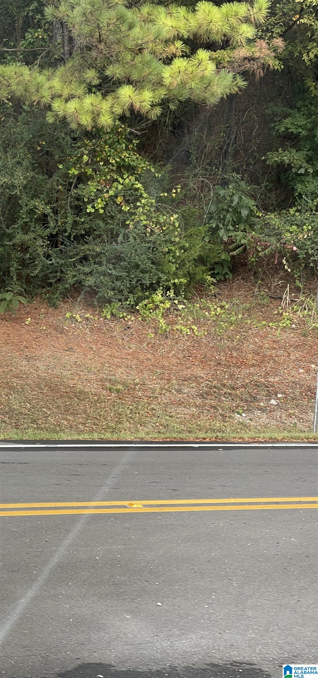 1 Highway 31 Lot 10 — photo