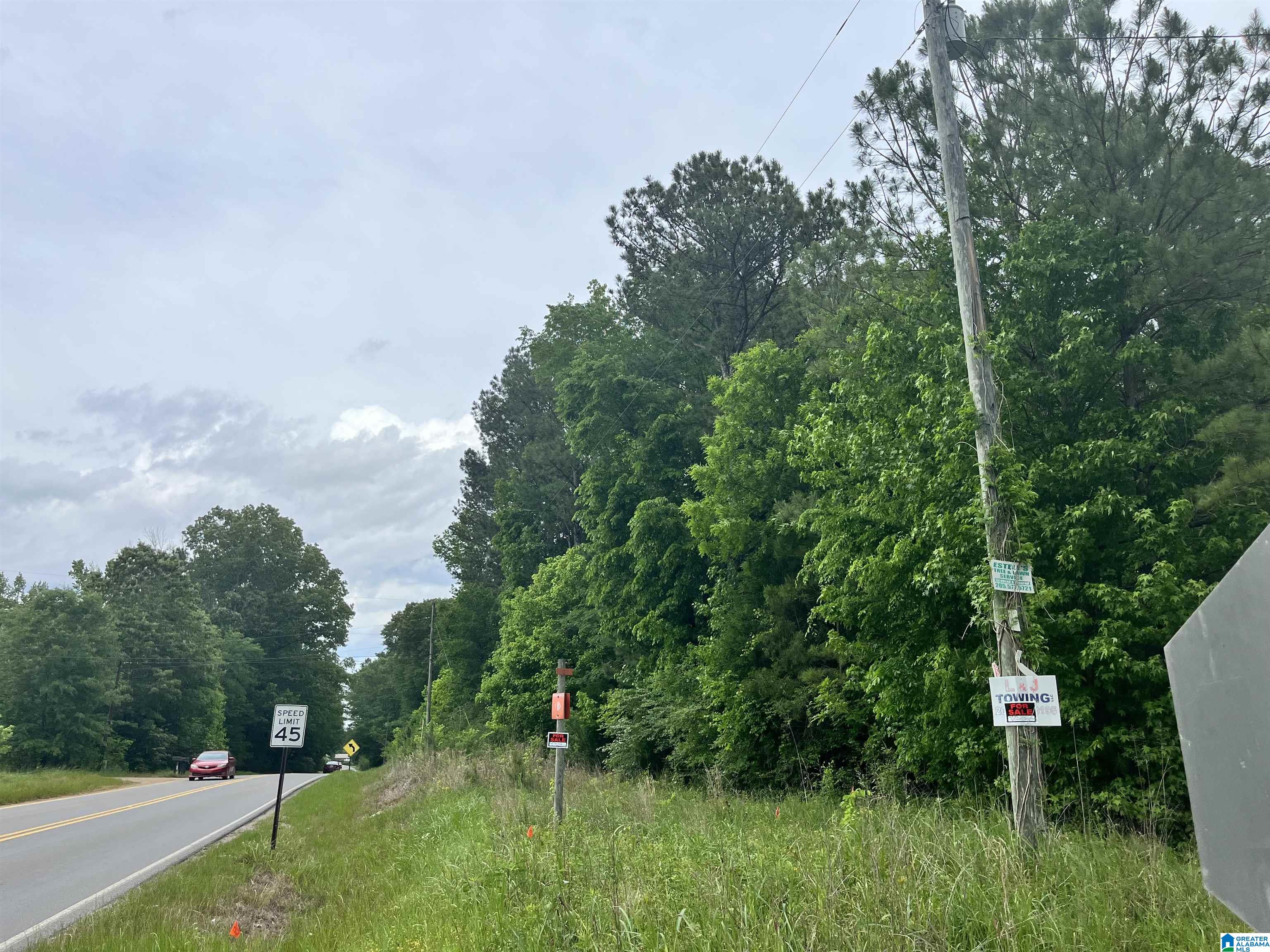 0 Mineral Springs Road — photo