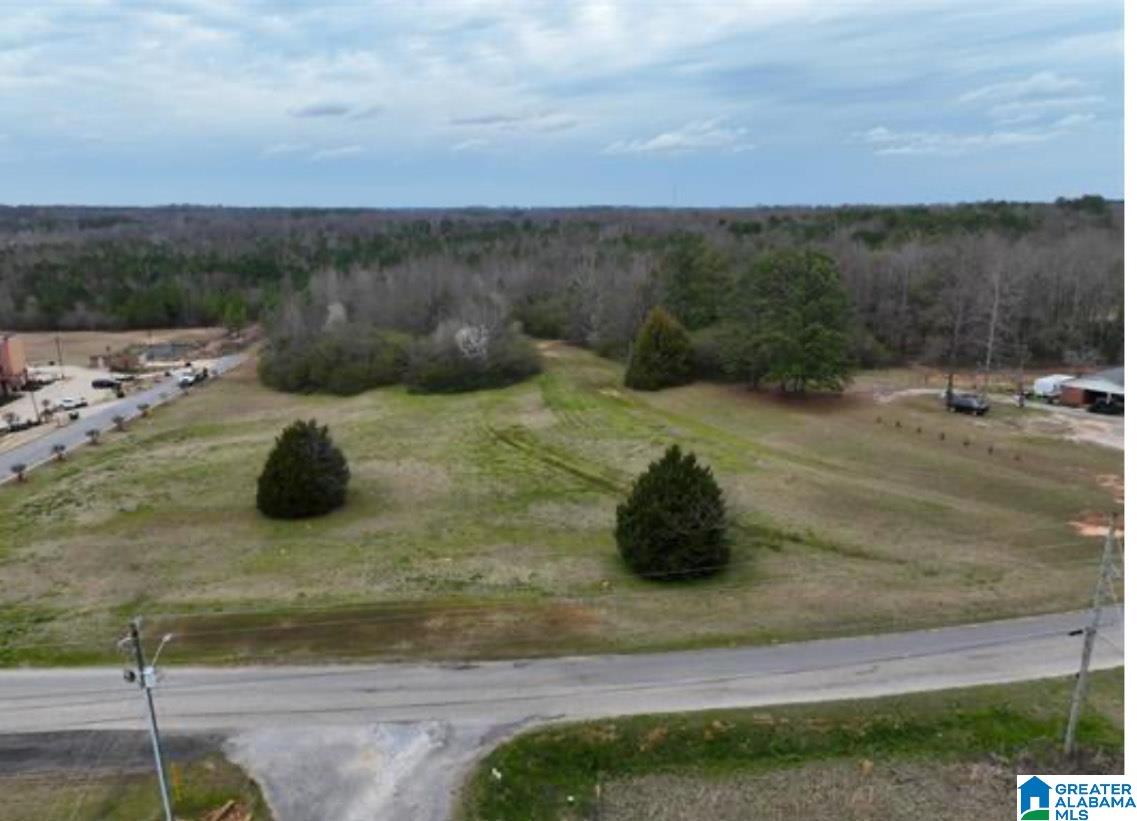 0 County Road 490 — photo