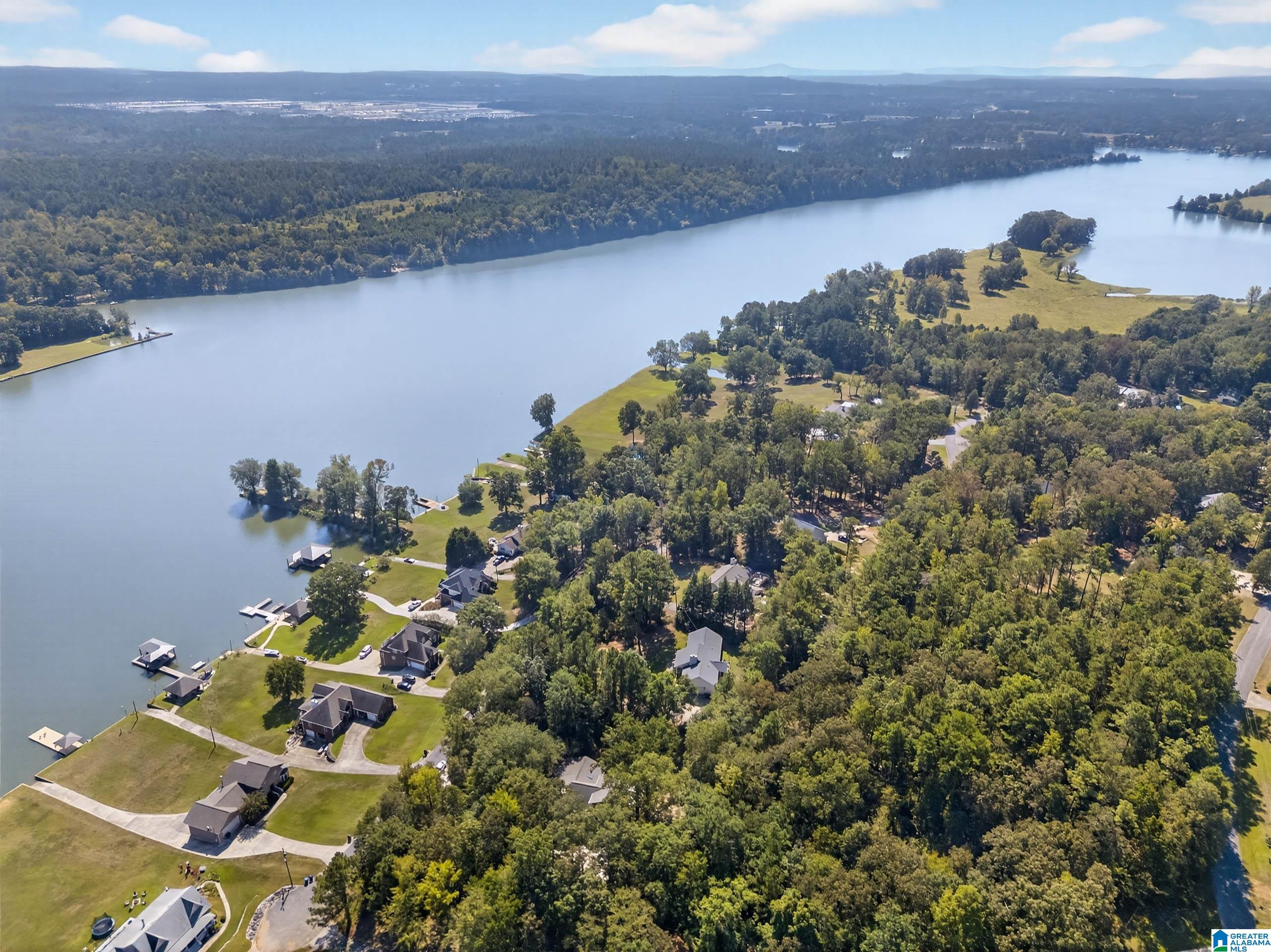 1105 Lock 4 Road, Riverside, AL 35135 — photo 2