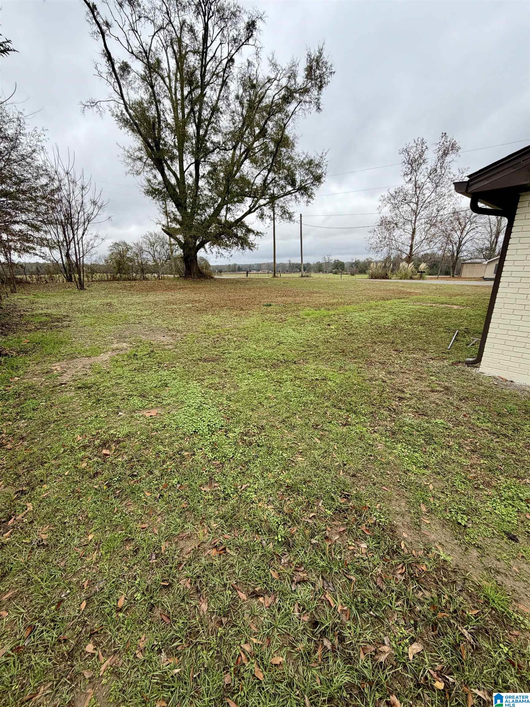 100 Mims Circle, Clanton, AL 35045 — photo 3