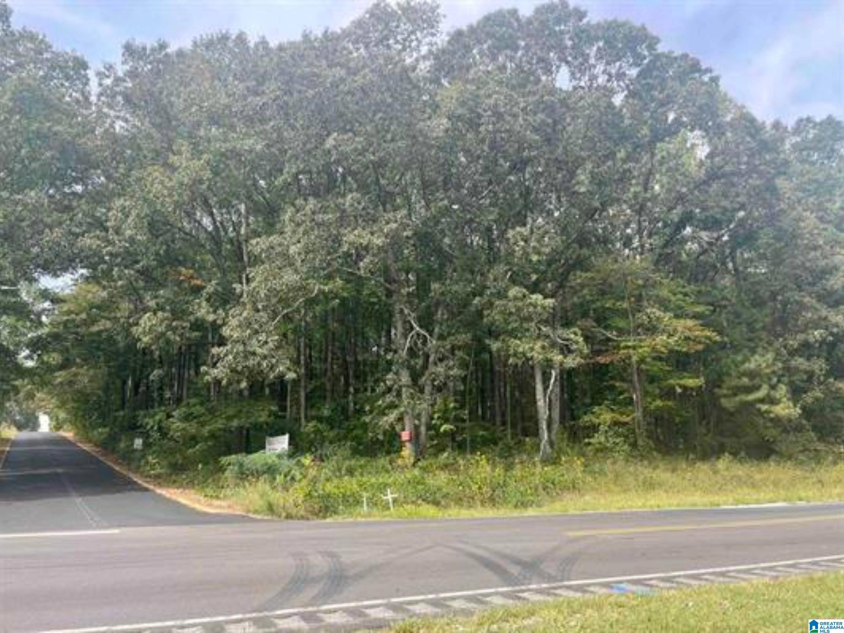 5.7 Acres Highway 431 — photo