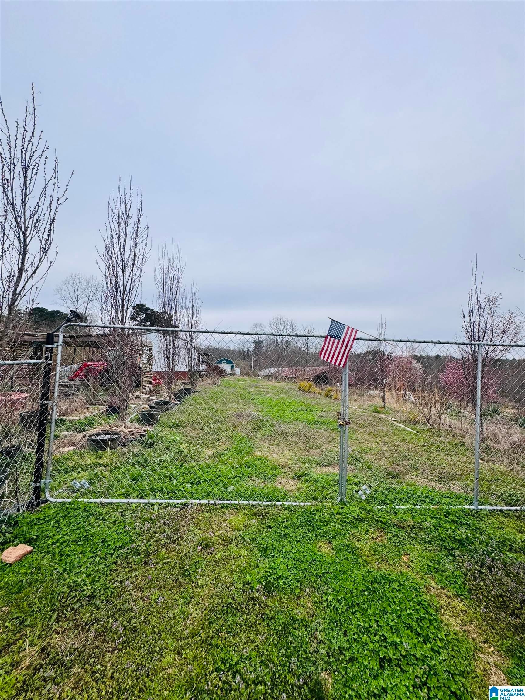 229 Graham Road — photo