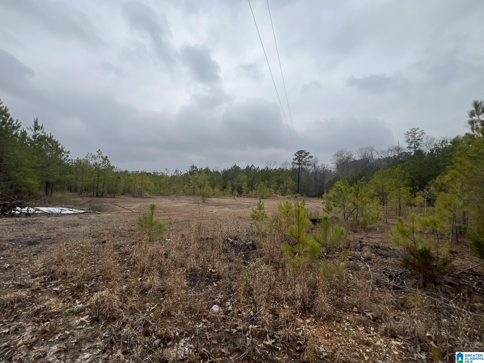 0 Clearbrook Lane — photo