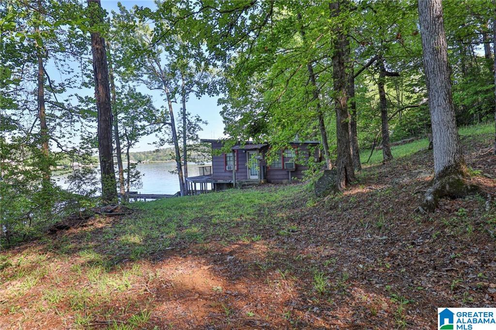 Lot 736 Lee Rd County Road 899 — photo