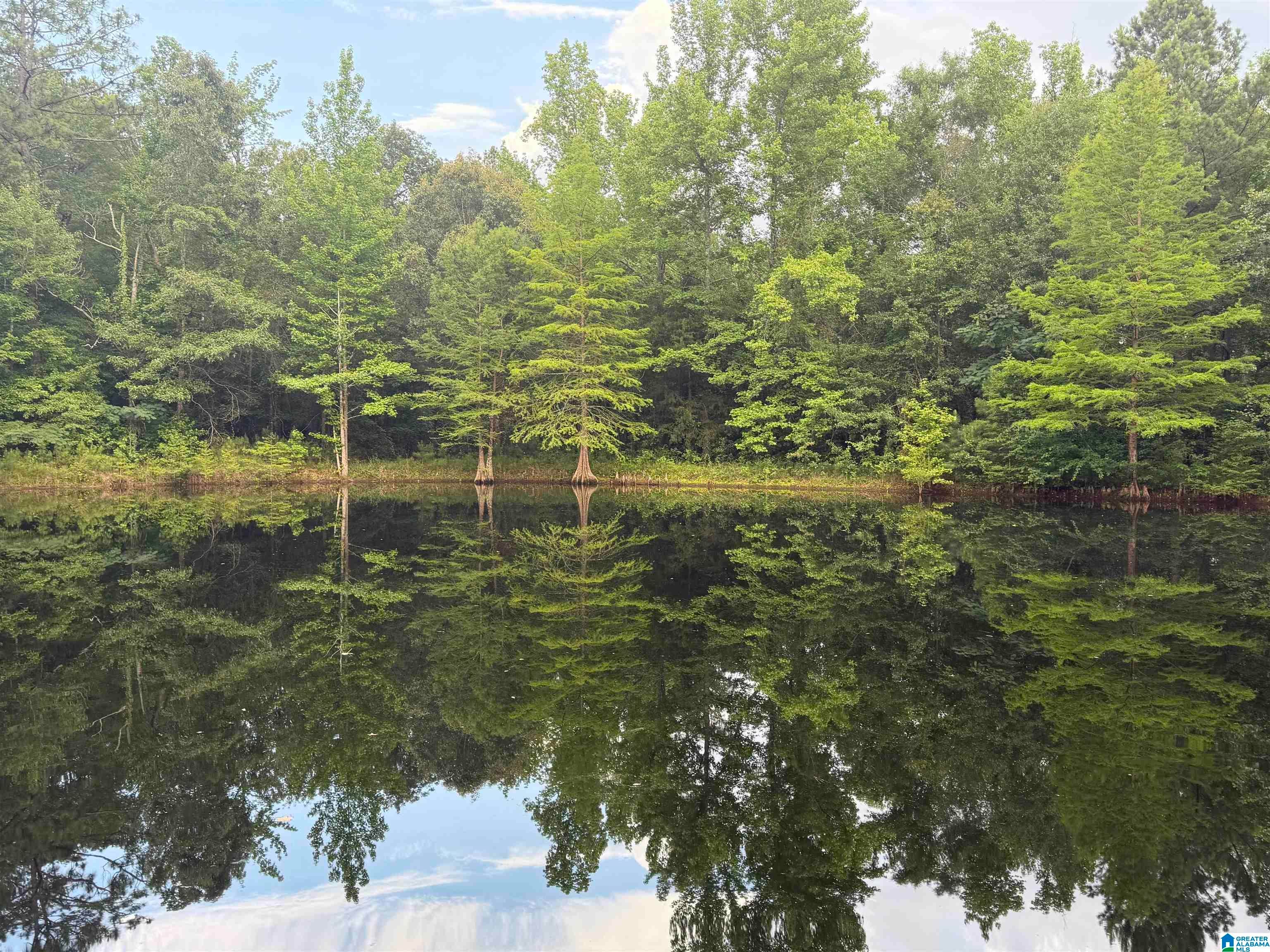 299 County Road 443 — photo
