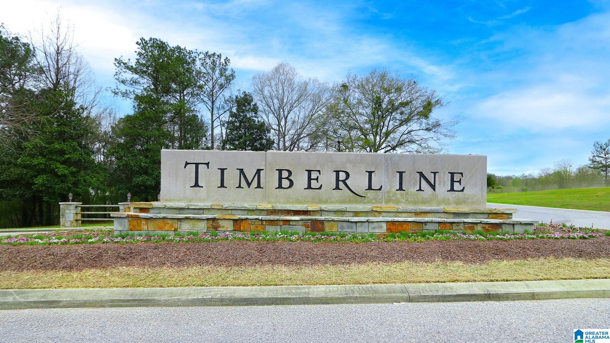 1163 Timberline Ridge, Calera, AL 35040 — photo 3