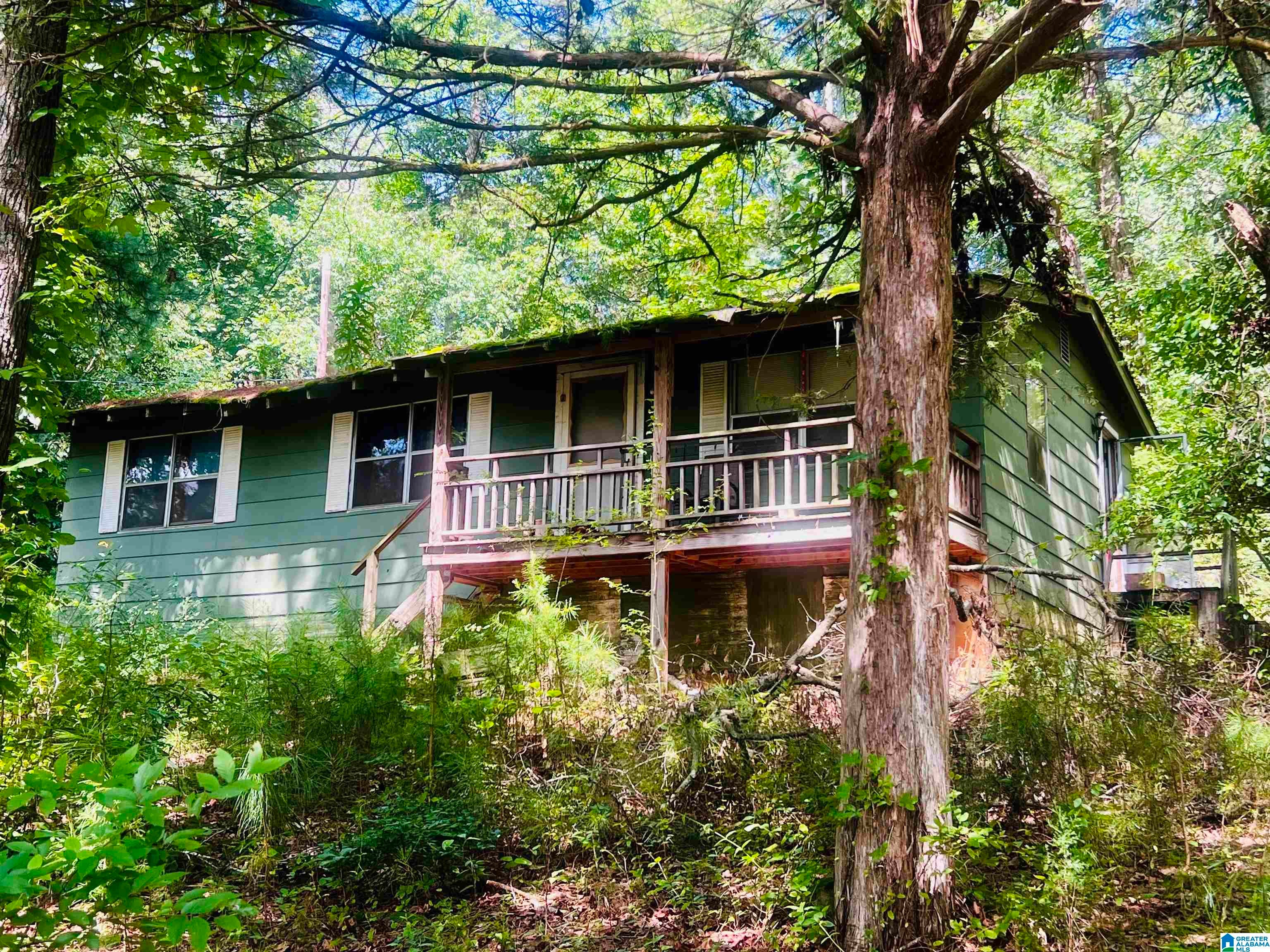35 Julia Lane — photo
