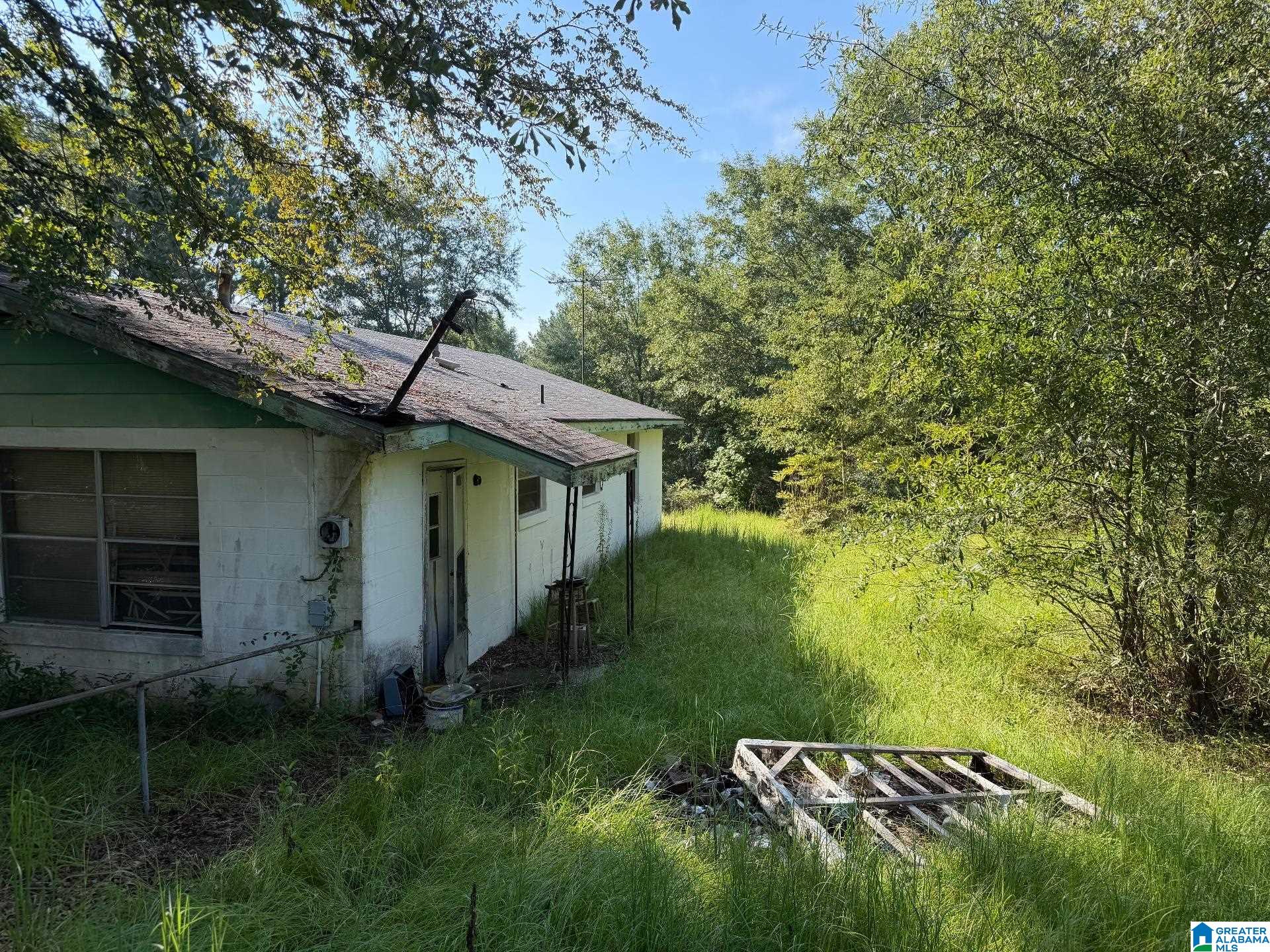 98 Iris Lane, Alpine, AL 35014 — photo 3