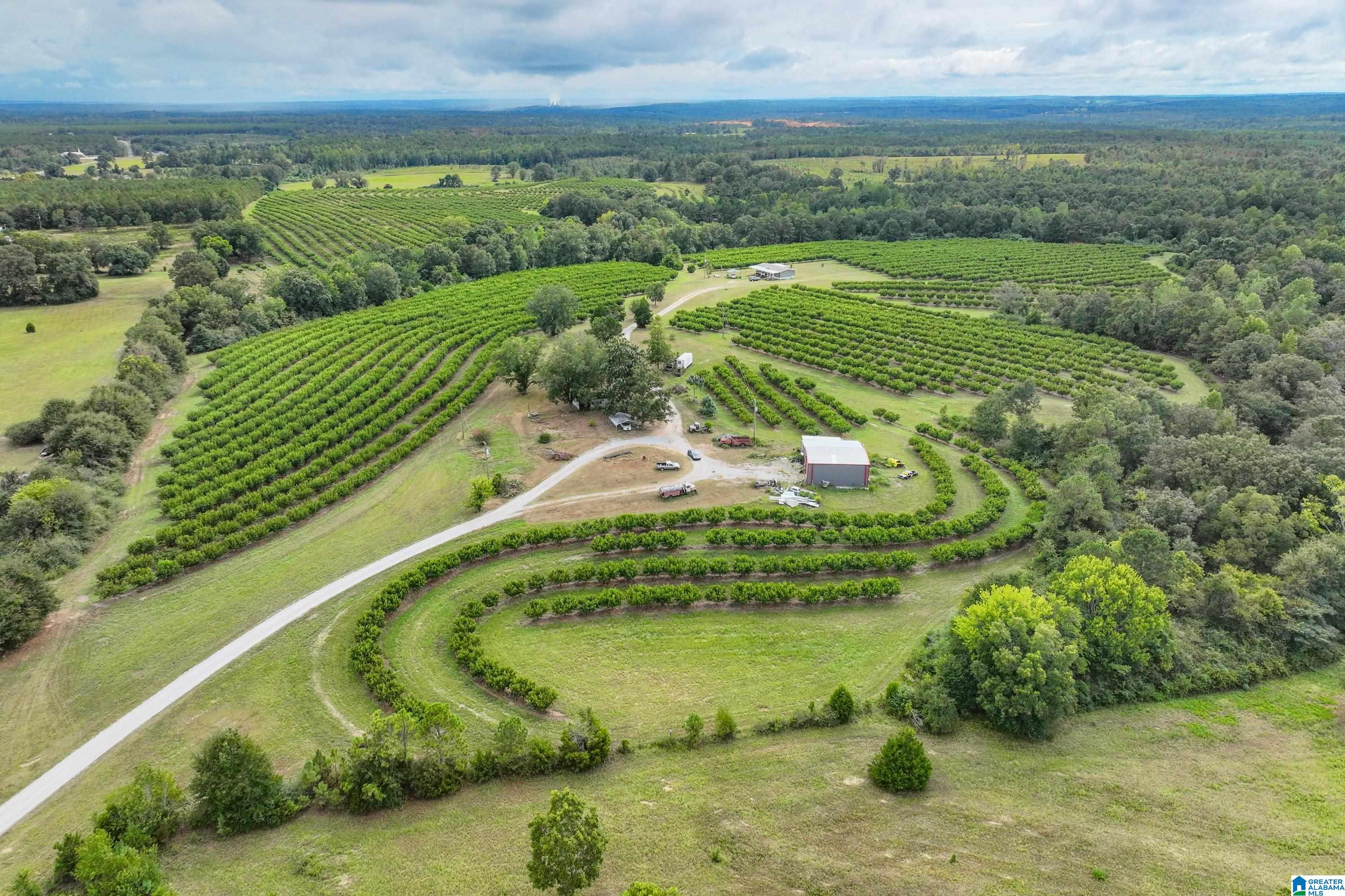 13610 County Road 37 — photo