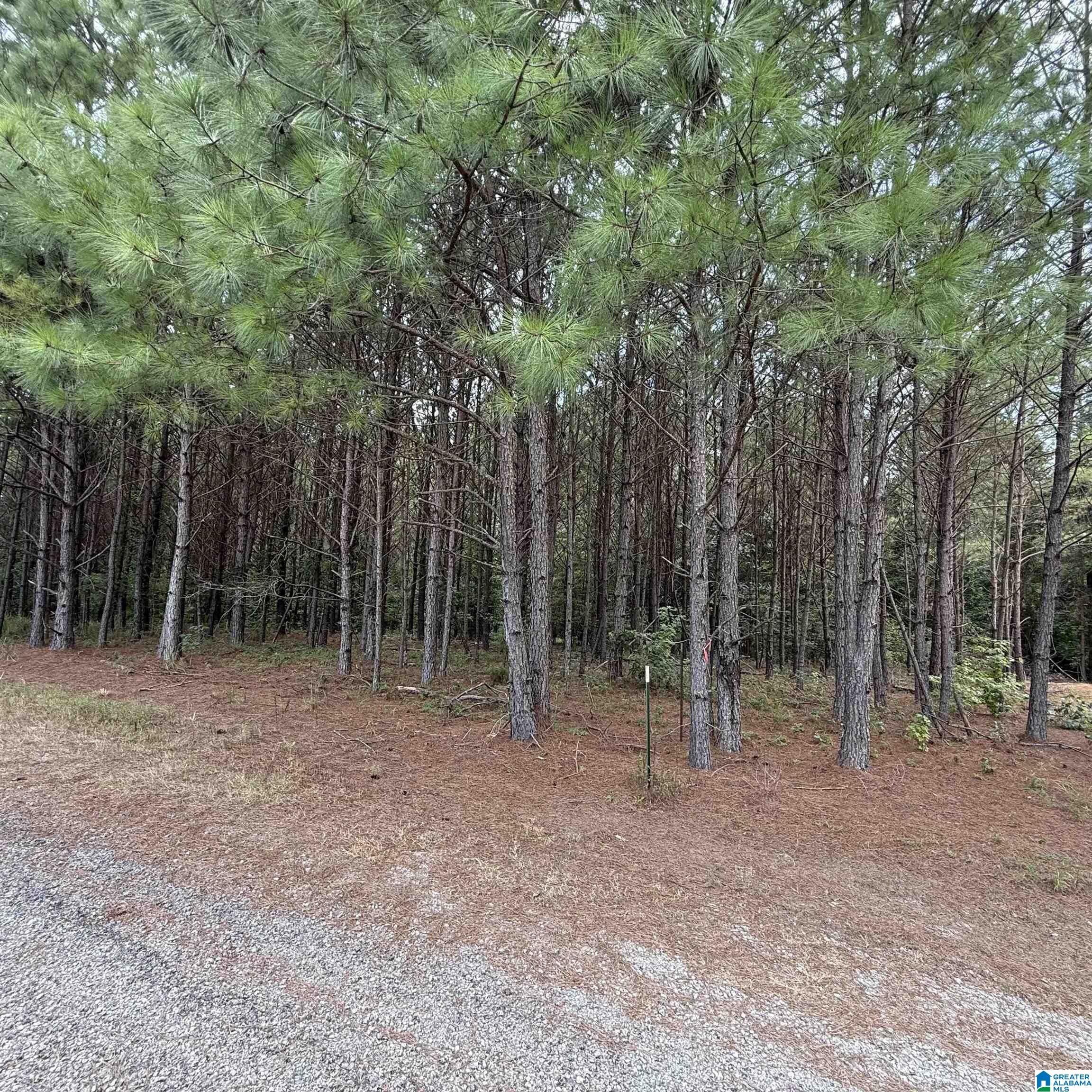 0A Pine Loop Drive, Jasper, AL 35503 — photo 2
