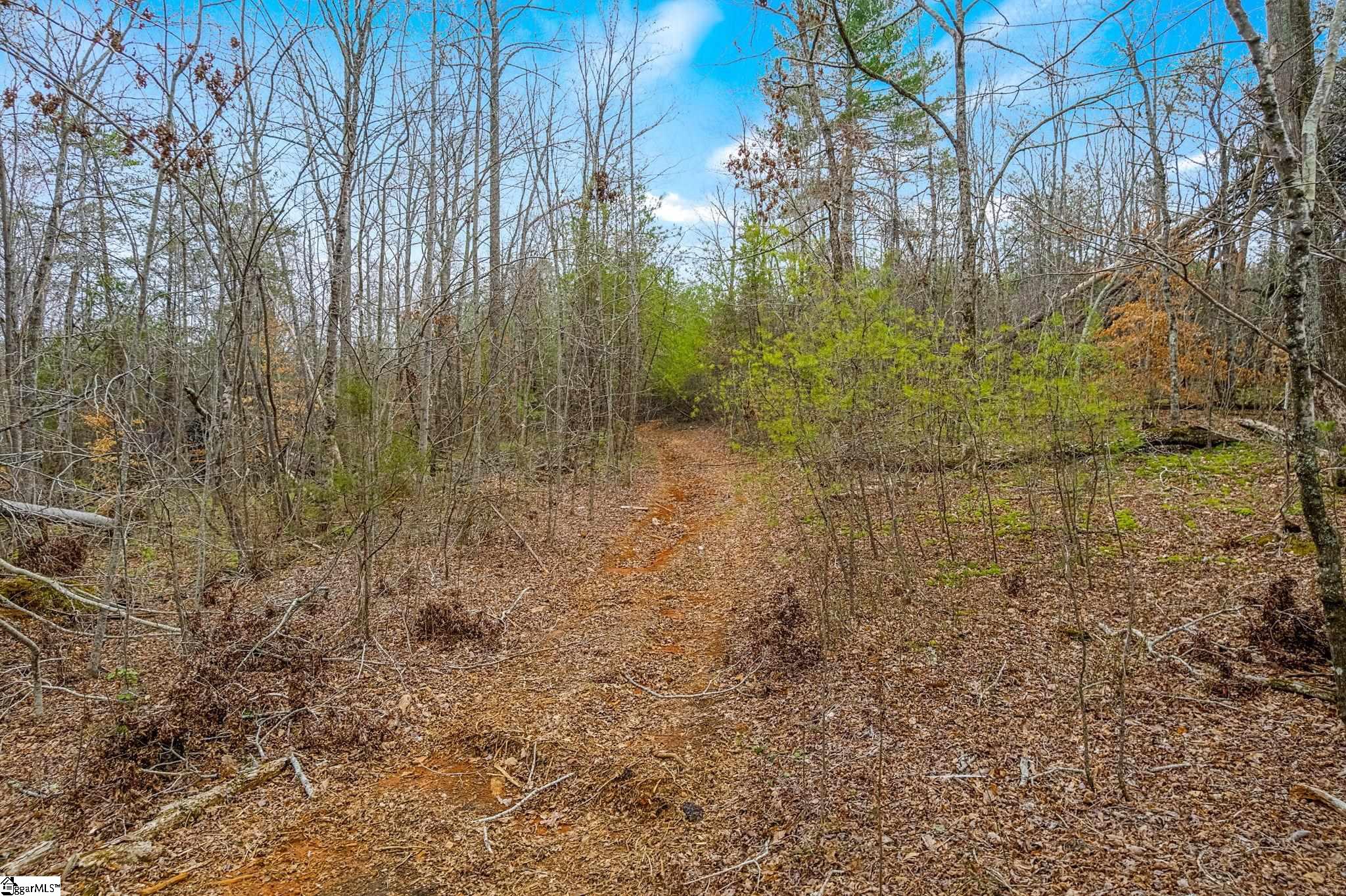 0000028A Tubbs Mountain Road — photo