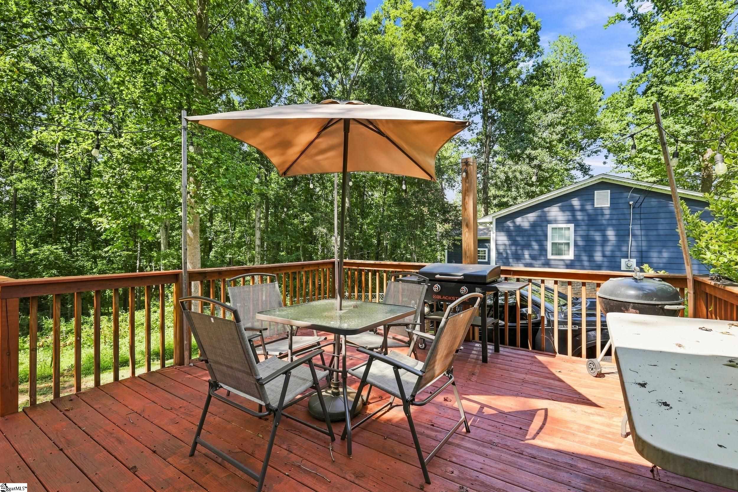 113 Blue Ridge Drive, Fountain Inn, SC 29644 — photo 2