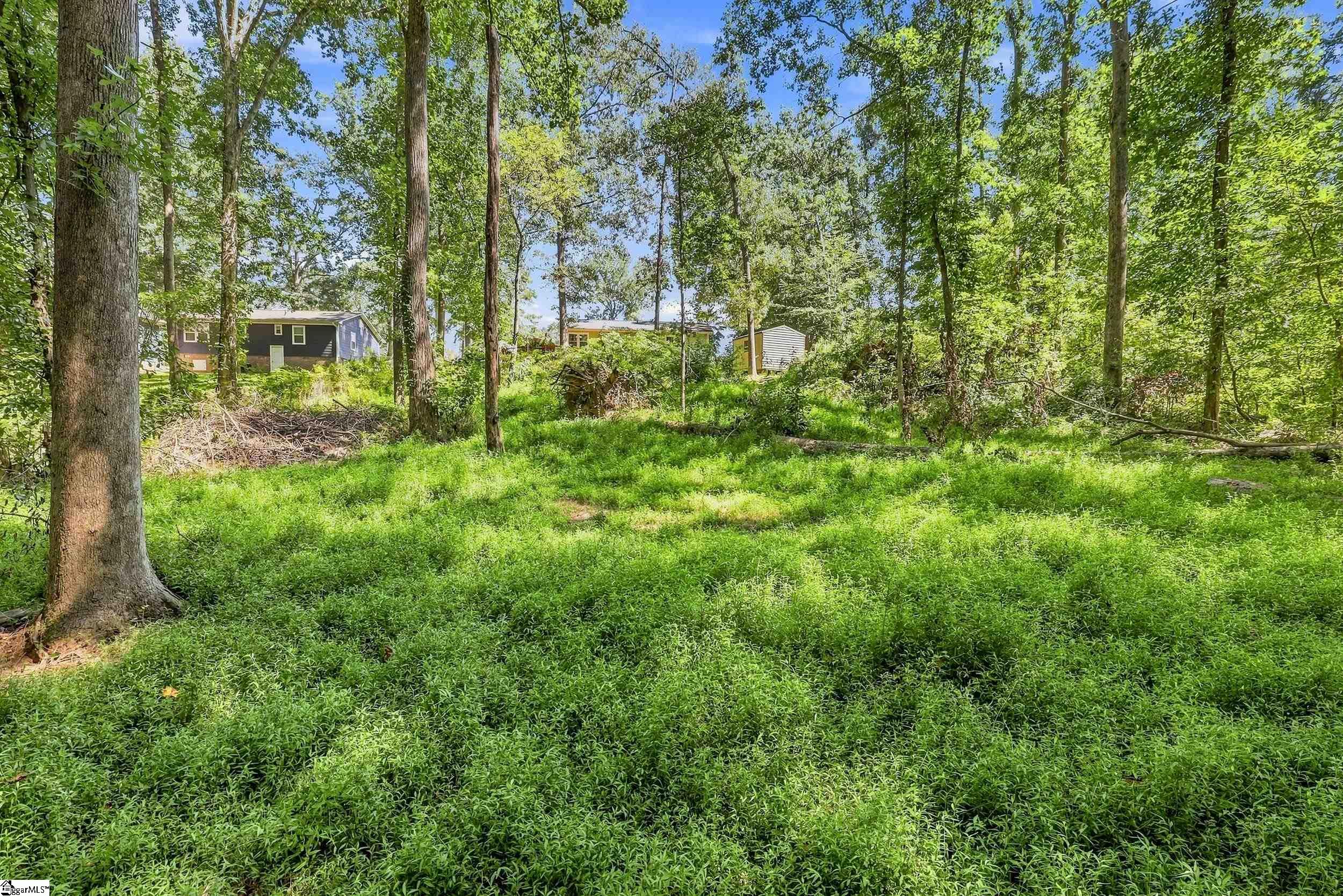 113 Blue Ridge Drive, Fountain Inn, SC 29644 — photo 3