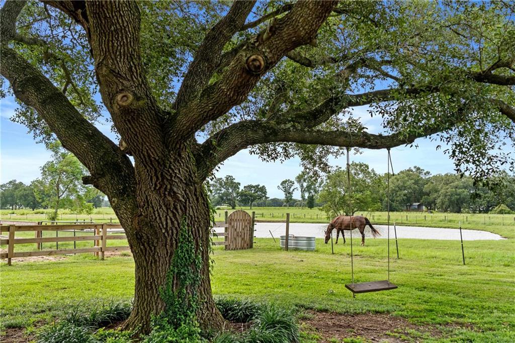 25331 Austin Road, Daphne, AL 36526 — photo 3