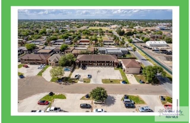 116 Wild Olive 8 & 9 & 10 — photo