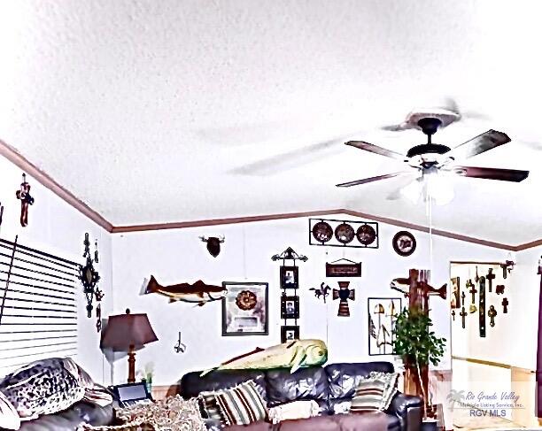 13612 N Pomelo Rd, SANTA ROSA, TX 78593 — photo 3