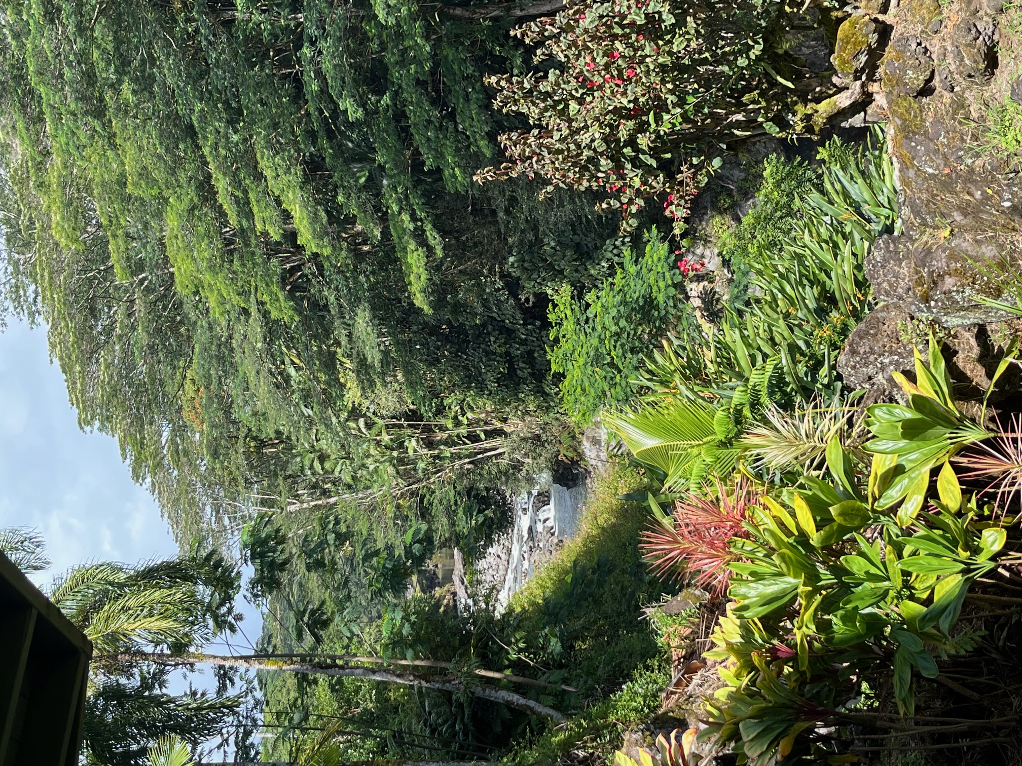 254 Kaiulani St — photo