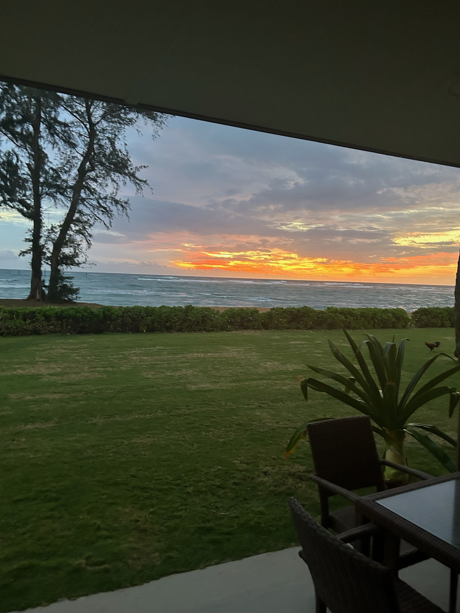 4-1250 Kuhio Hwy, #C107 — photo