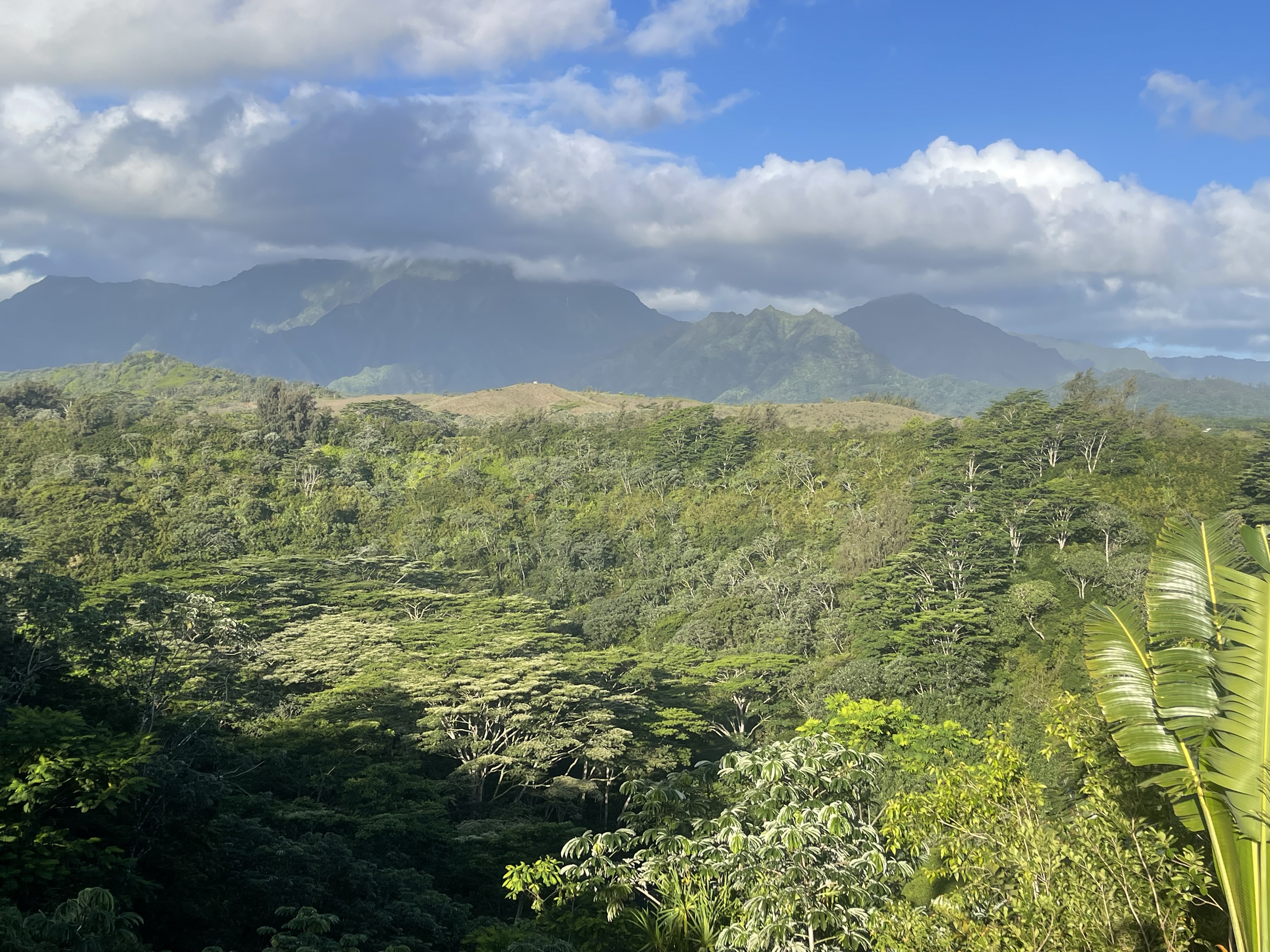 5250-D Kahiliholo Rd — photo