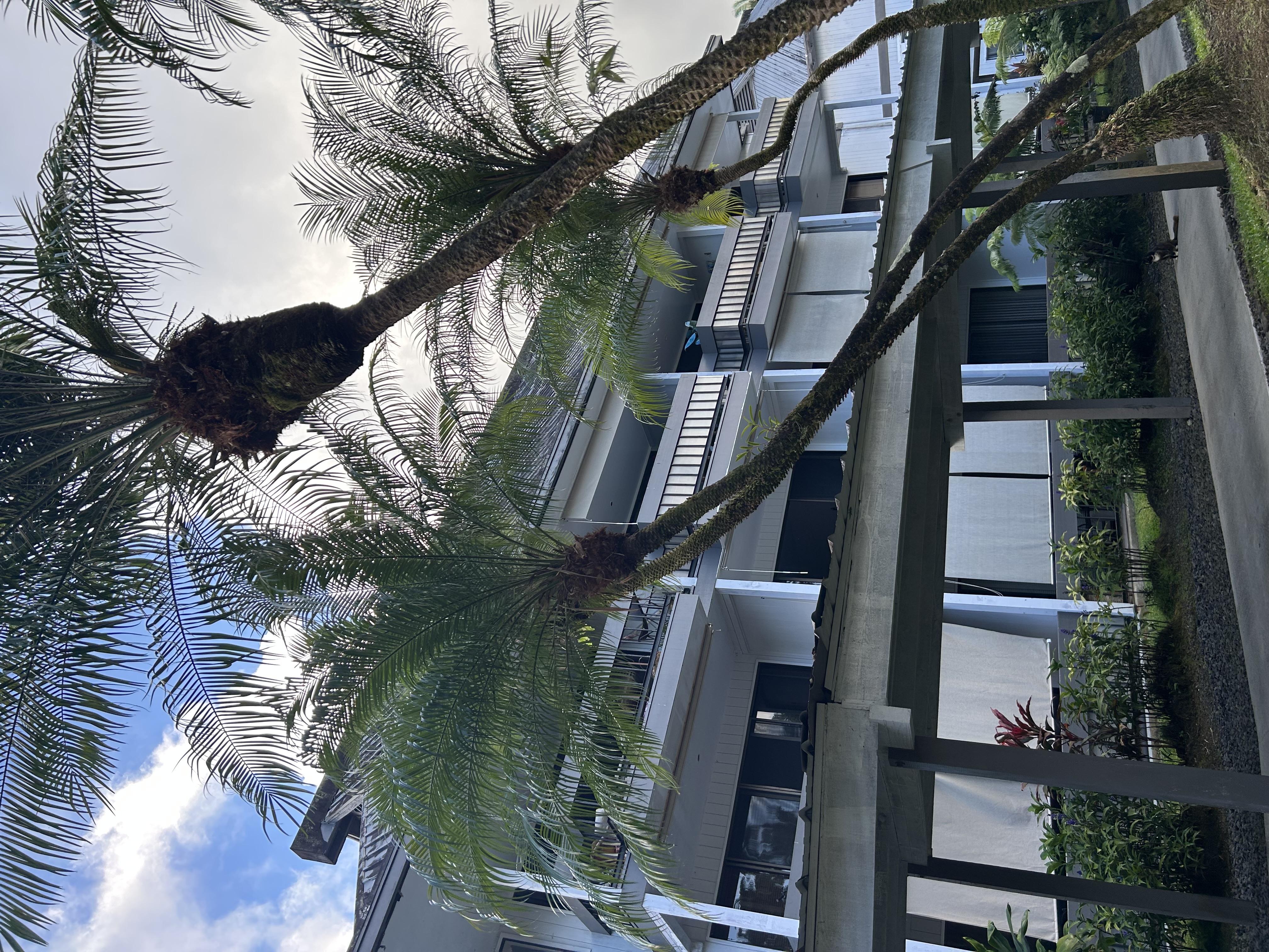 400 Hualani St, #5242 — photo