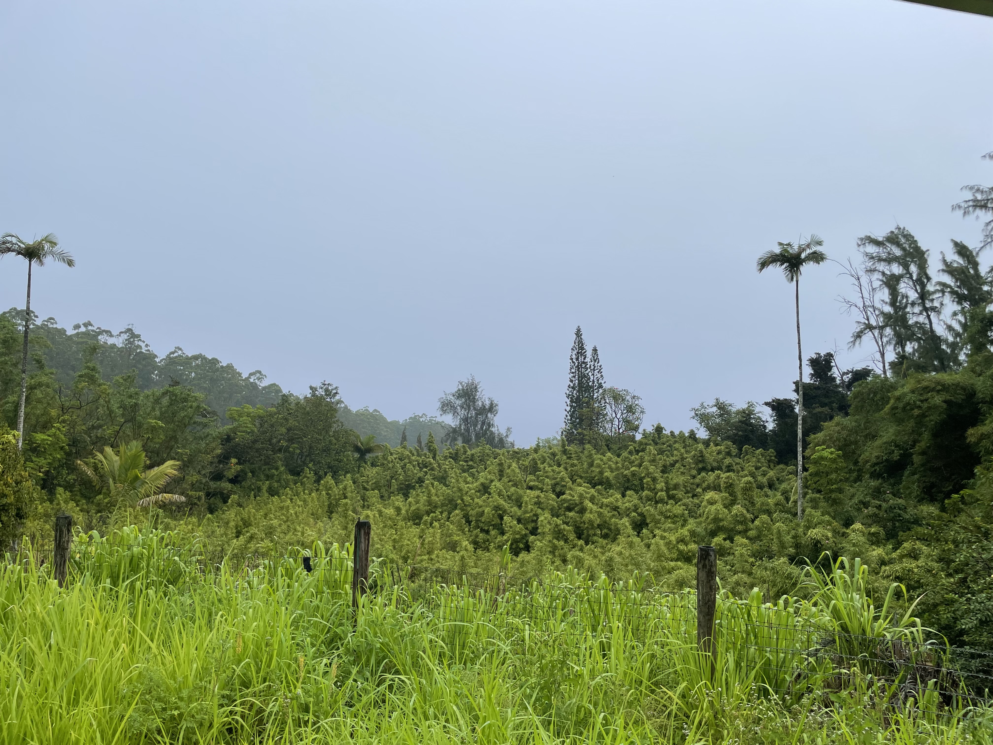 39-3342 Hana Ika Luna Camp Rd — photo