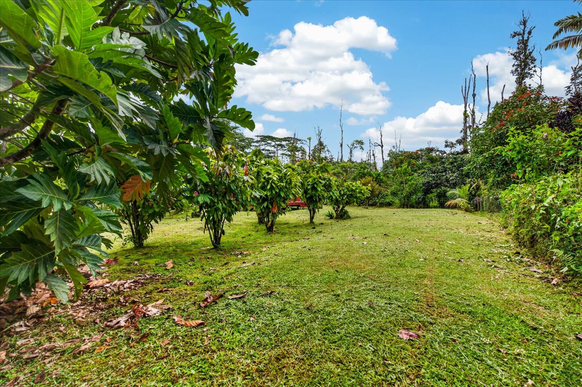 14-3513 Shell Road, Pahoa, HI 96778 — photo 2