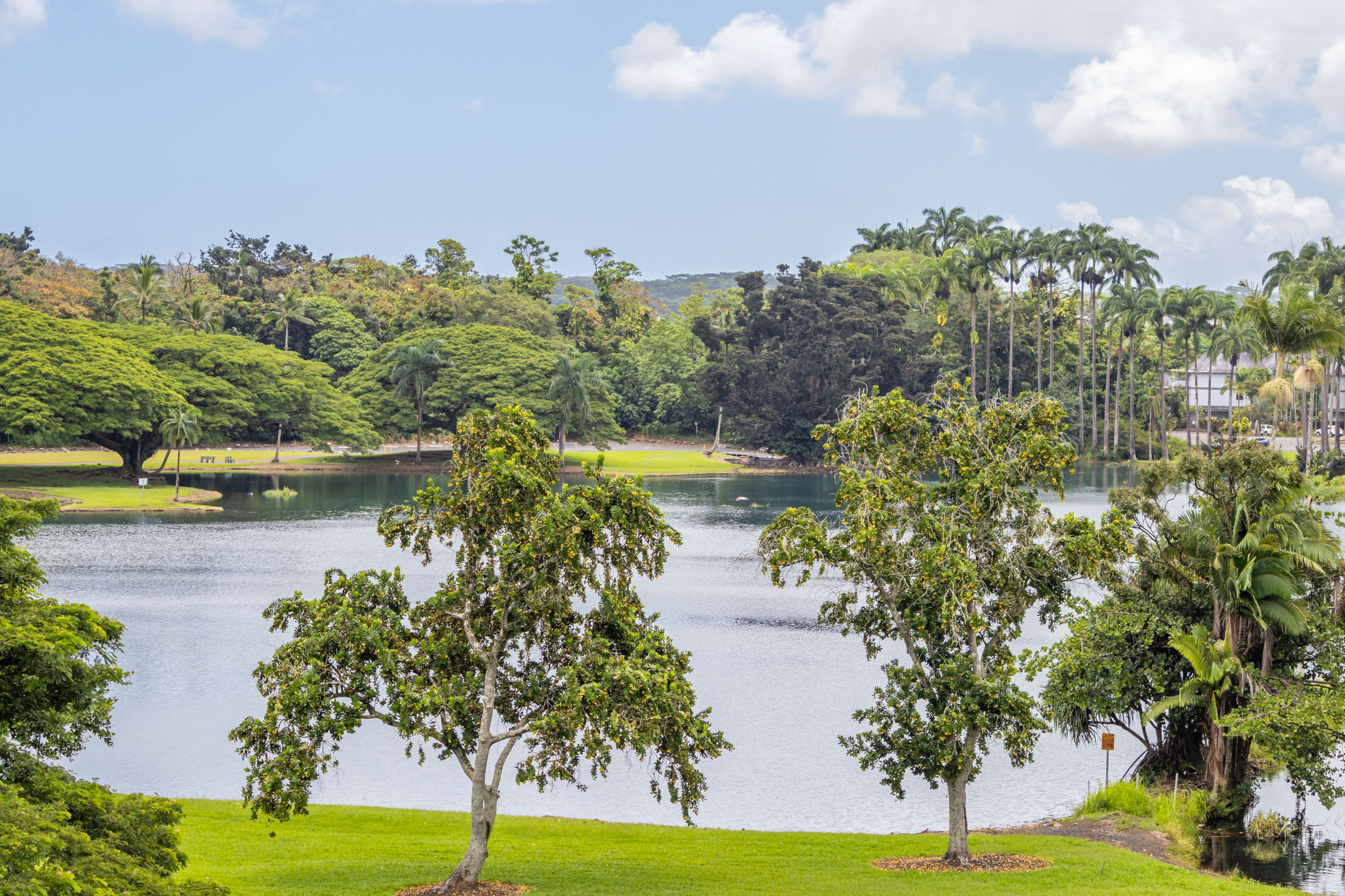 101 Hilo Lagoon Centre, #510 — photo
