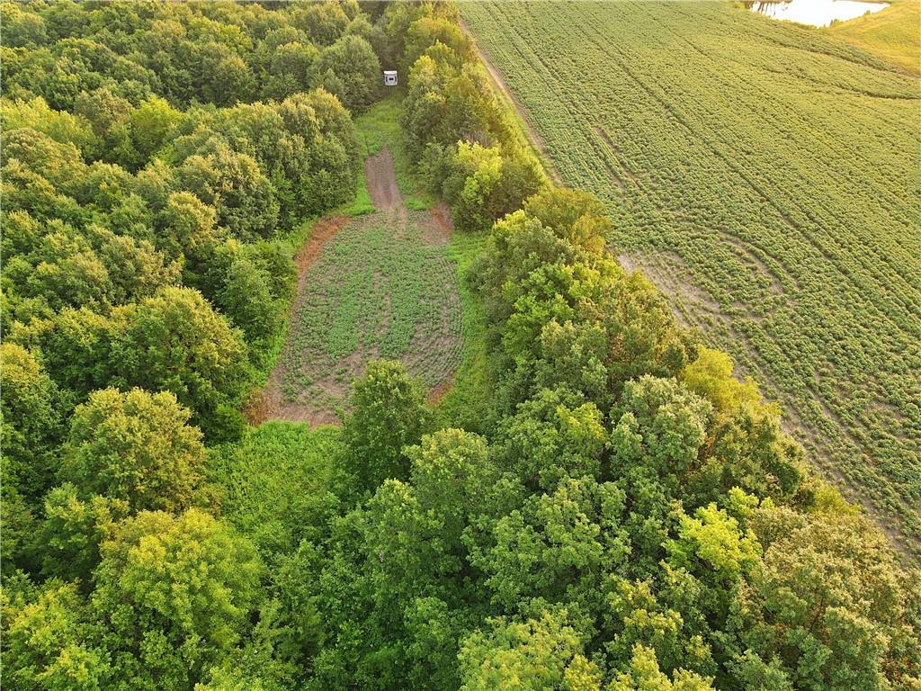 32184 E 237 Th Street, Ridgeway, MO 64481 — photo 2