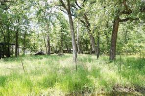 6136 Apache Dr, Mabank, TX 75156