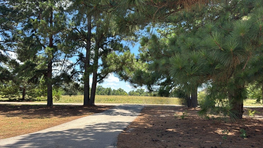 5337 Dusty Rd, Athens, TX 75752 — photo 2