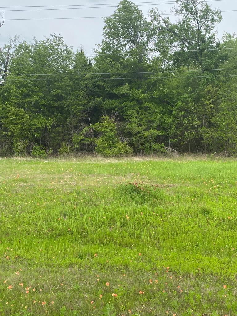 0 N US Hwy 175 — photo