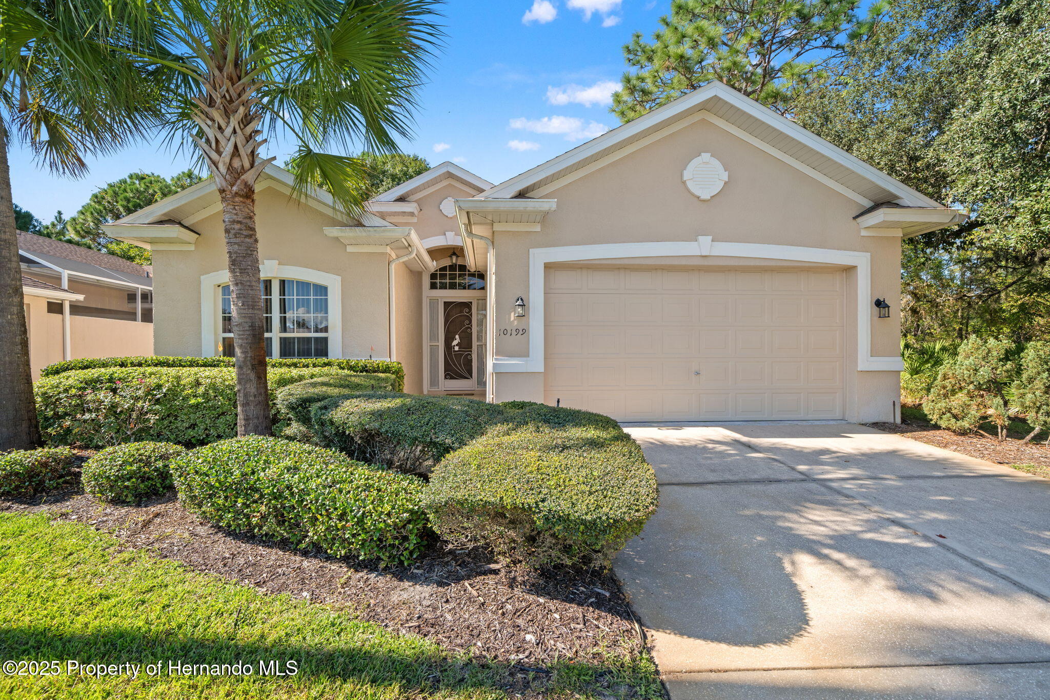 10199 Holly Berry Drive — photo